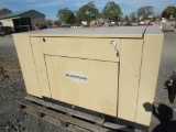 Generac Guardian 0049922 Standby Generator