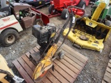 Briggs & Stratton Demolition Saw