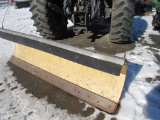 Meyers 8ft Diamond Blade