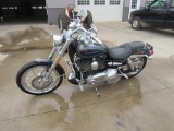 2007 Harley Davidson Dyna Screaming Eagle 110
