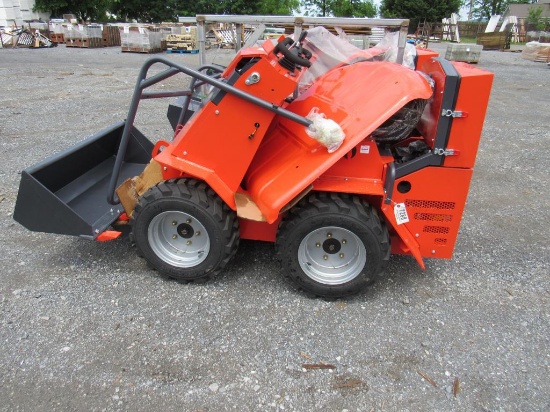 TPM Mini Skid Steer Ldr Z360