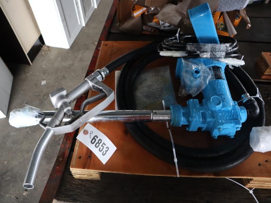 12 V Dsl Transfer Pump