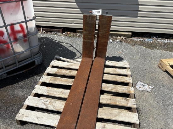 Set of Forks