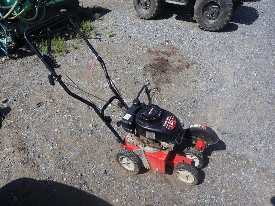 MTD Edger