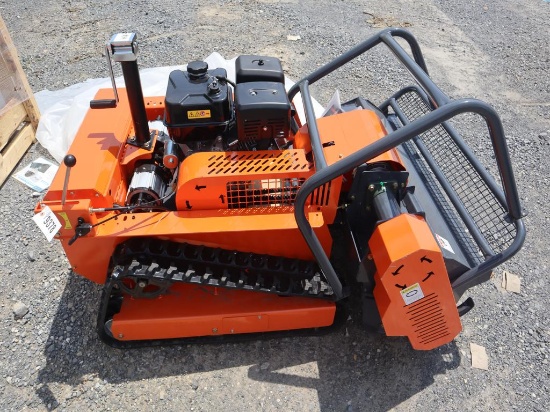Future Lawn Mower