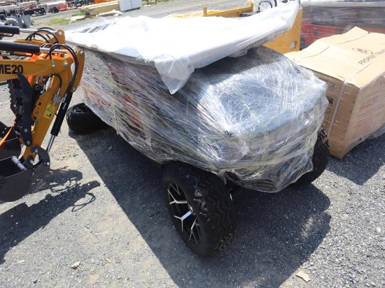 SDLANCH SDLGC100 Golf Cart