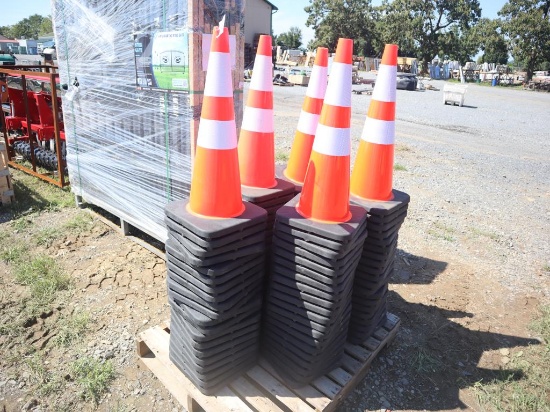 Great Bear Traffic Cones