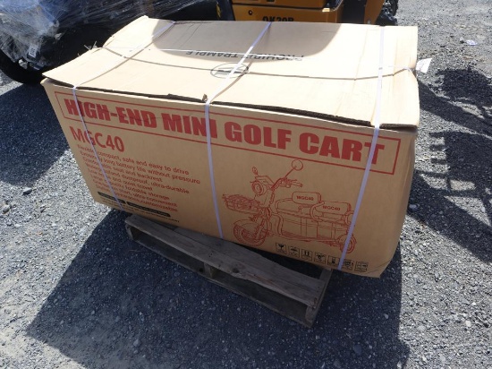 IR Electric Tricycle