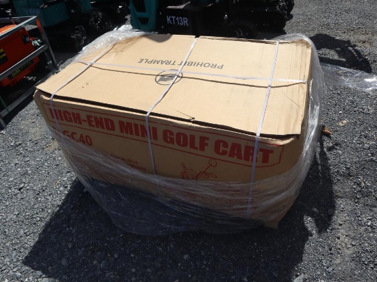 IR Electric Tricycle