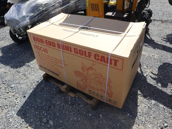 IR Electric Tricycle