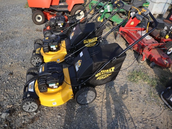 Dewalt Push Mower
