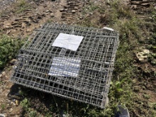 Steel Shipping Cage