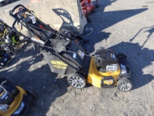 Dewalt Push Mower