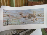 Lot of 7 Duck Unlimited prints from various artists