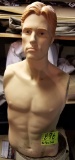 Male mannequin torso