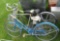Lot of 3 bikes