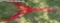red wagon hitch