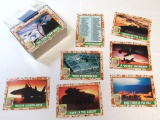 Desert Storm cards