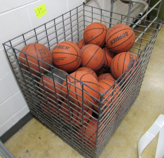 basketballs and bin