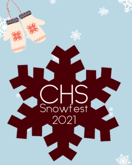 New Ulm Area Catholic Schools Snowfest Auction