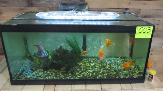 40 gal breeder fish tank with equipment and food