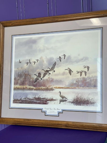 Canada Geese Deer Island Print