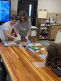 Eight Grade Cribbage Game