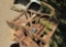 antique buck saw