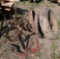 steel wheels