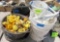 rubber buckets, electric fencing supplies misc