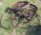 Steel Wheels