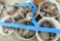 6 ice cream buckets of rocks