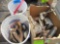 wood drill bits, c- clamps, old irons