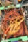 extension cord, wood clamps, to rope, trowels (garden shovels)