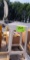 3 stools, water can, shelf, plant scan