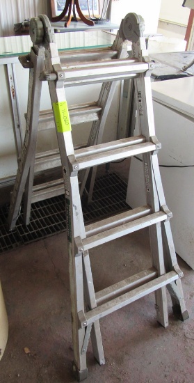 ProAdvantage all-in-one ladder