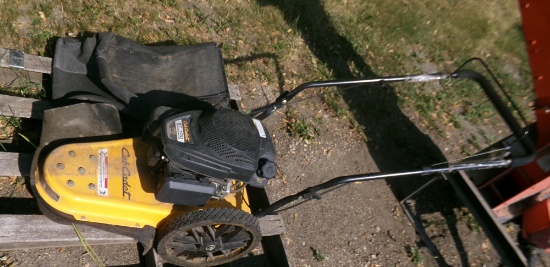 cub cadet wheeled string trimmer