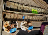 chicken feeders, stands