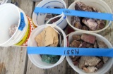 4 ice cream buckets of rocks, a bucket of rocks