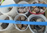 6 ice cream buckets of rocks