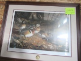 lutei pool - wood ducks by James Hauptman picture
