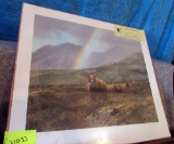 bear picture, after the rain by Michael Coleman
