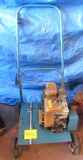 Bluebird Dethatcher