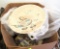 box decorator plates, cookware