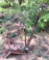 sickle mower