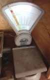 scale