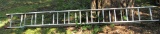 ladder