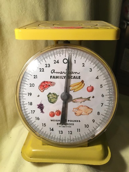 American Family Scale