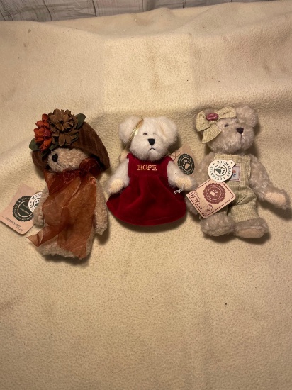 Miniature Boyd's Bears