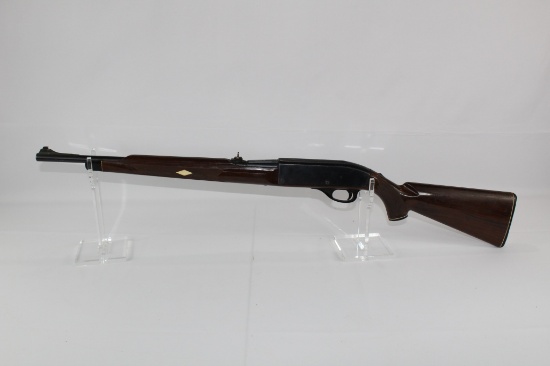 Remington Nylon 66